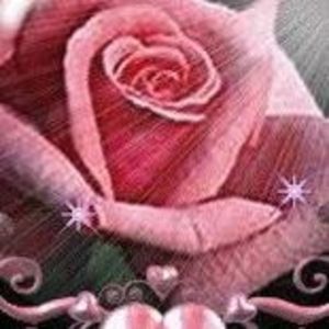 Meet your Posher, Rose